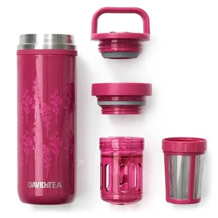 DAVIDsTEA - Wildflower Stainless Steel Matcha Maker - Travel Mug Infuser - 16 oz - 473 ml