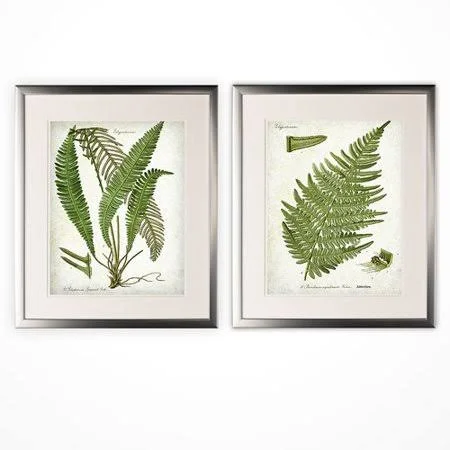 Gracie Oaks &Vintage Botanical Sketch VII& 2 Piece Framed Acrylic Painting Print Set - Green