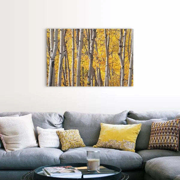 Aspen Trees in Autumn - Kananaskis Country, Alberta, Canada, Canvas Wall Art, 48x32, Great Big Canvas