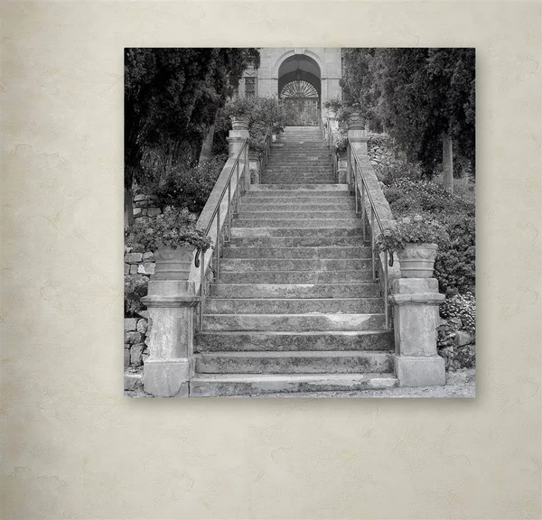 Trademark Art Alan Blaustein 'Liguria II' Canvas Art