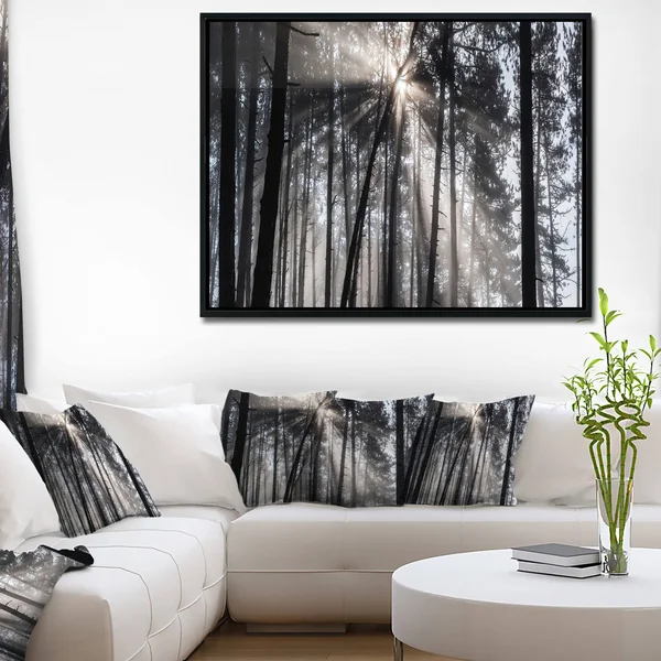 Designart Sunbeams Through Black White Forest- Forest Framed Canvas Wall Art Print in Gold, FL9987-46-36-GD