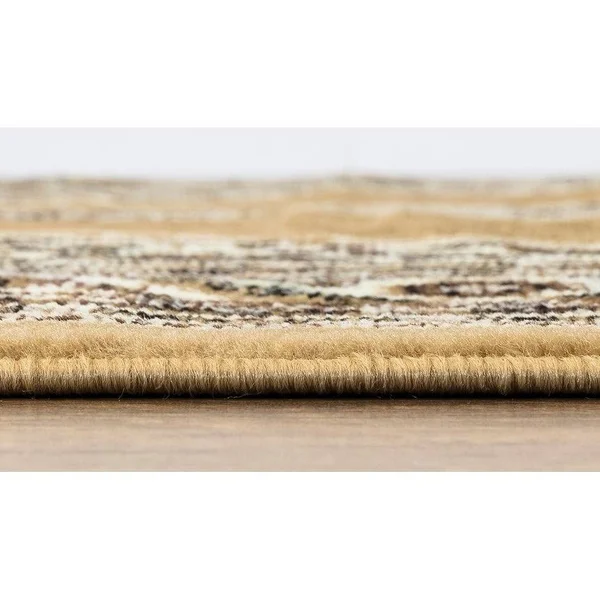 Princess Collection Oriental Medallion Area Rug - 5& 2x22 x 7& 2