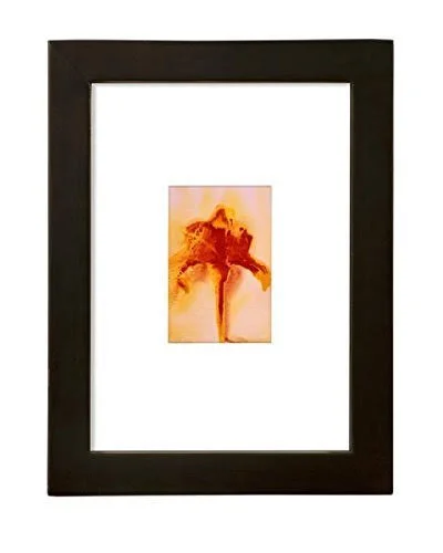 Ambiance Gallery Wood Picture Frame for Stretched Canvas - Artist Panels and Art Boards [Single Frame] 20x24 - Black