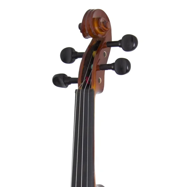 Cecilio CVN-300 Ebony Fitted Solid Wood Violin with D&Addario Prelude Strings - Size 1/2