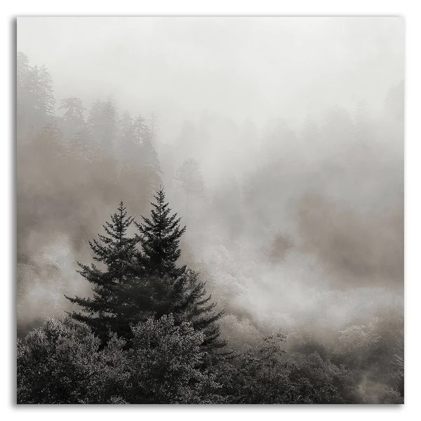 Tangletown Fine Art Rising Mist - Smoky Mountains by Nicholas Bell, Print on Canvas, Ready to Hang