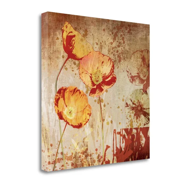 Tangletown Fine Art 'Poppy Heat II' by Tandi Venter Graphic Art on Wrapped Canvas
