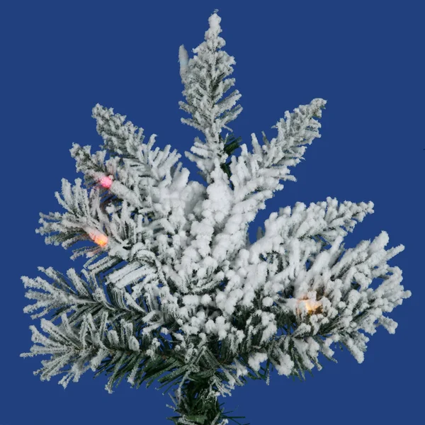 Vickerman 6.5 ft. Flocked Slim Utica Fir Multi Dura-Lit Christmas Tree