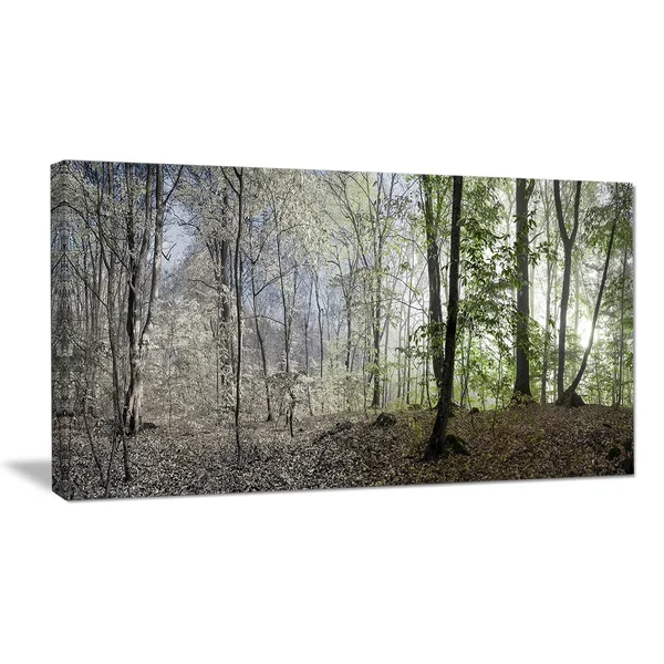 Designart &Green Morning in Forest Panorama& Landscape Large Canvas Art Print - Green - 40 in. Wide x 30 in. High