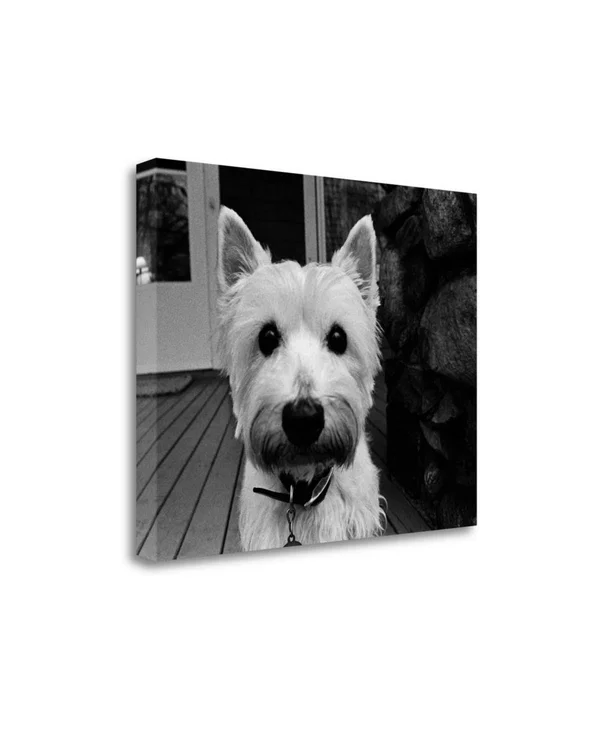 29x22 x 37x22 Rosie by Kim Levin Fine Art Giclee Print
