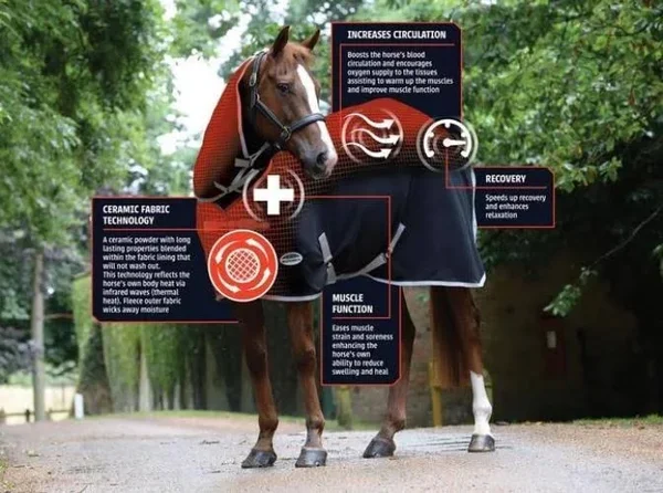 Weatherbeeta ComFiTec Premier with Therapy-Tec Detach-A-Neck Medium