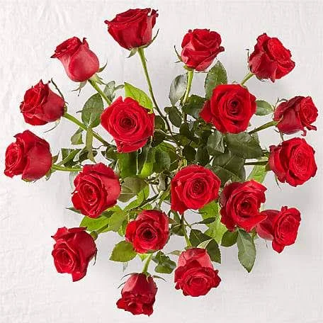 FTD Flower Delivery - Long Stem Red Rose Bouquet, Better, Send Flowers for Birthdays and Graduation at FTD.com, Fast and Same