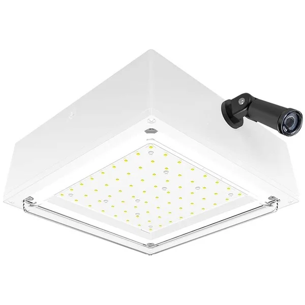 RAB Vandalproof Canopy 10W Cool LED 120V Pcs w/ Drop Lens White