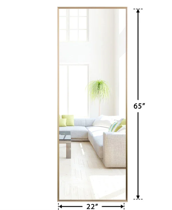 Neutype Aluminum Alloy Thin Frame Full Length Floor Mirror Hanging or Leaning - Gold