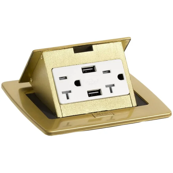 Lew Electric PUFP-CT-B-20A-2USB Counter Power Popup Charging USB Brass
