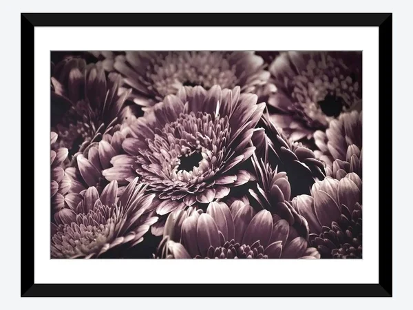 Framed Poster Prints - Opulent IV by Design Fabrikken ( scenic & landscapes > Nature > Nature close-ups > Floral