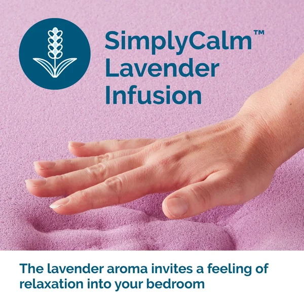 Lucid Comfort Collection 3x22 Lavender Memory Foam Topper - Queen