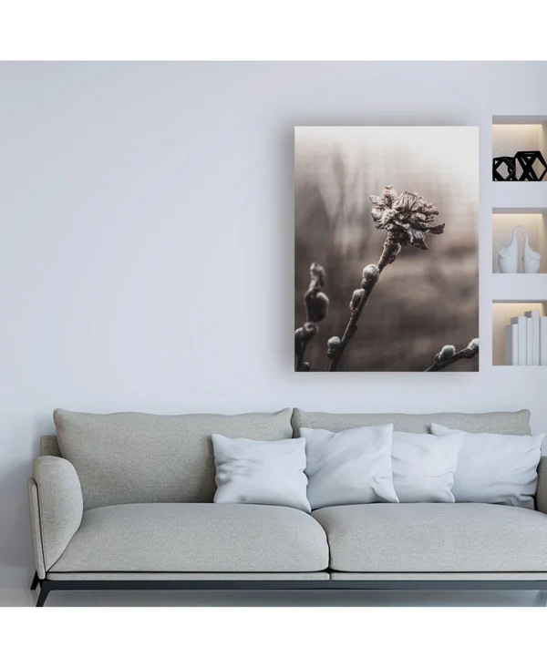 Trademark Fine Art Ic01791-C2432Gg Incado 'Spring Plants' Canvas Art - 2