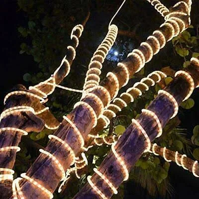LED Rope Lights – Outdoor 20 Feet RGB White Yellow (Must Watch Video Before You Buy) – Rainbow Color Chase All in One