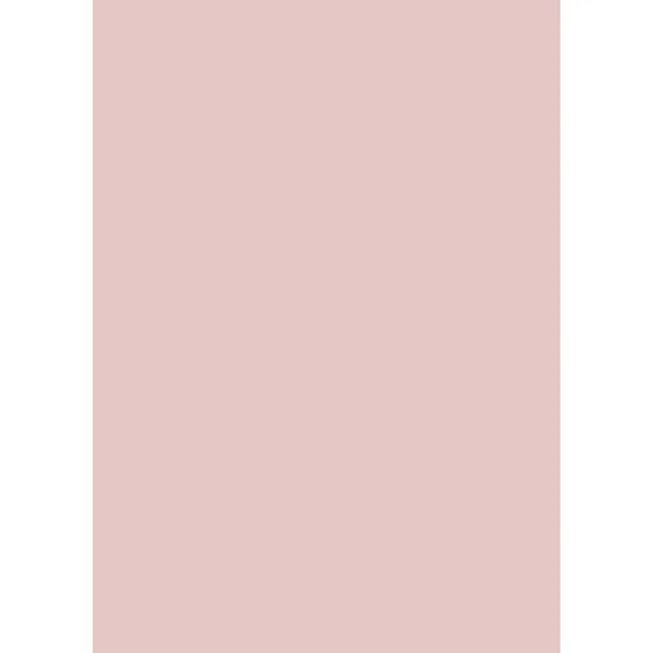 Westcott Solid Color Matte Vinyl Backdrop with Grommets (5 x D0011-63X87-VY-RE