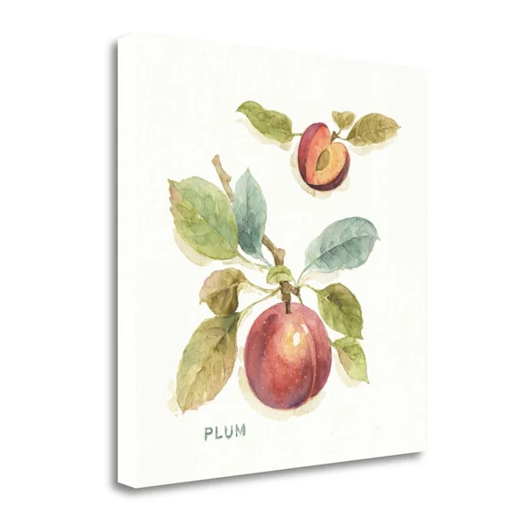 25x22 x 25x22 Orchard Bloom IV by Lisa Audit Fine Art Giclee Print