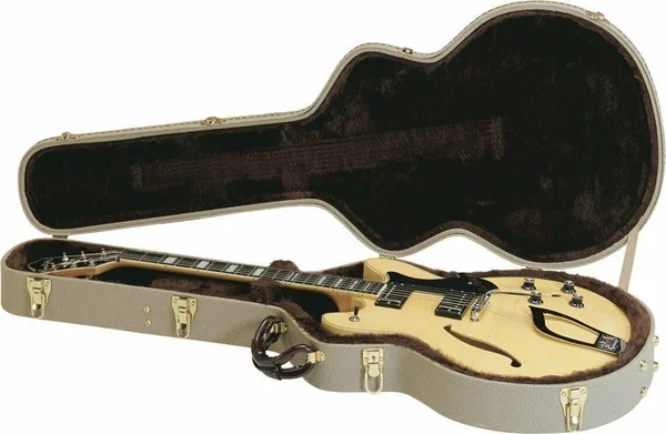Hagstrom Viking Case - C55