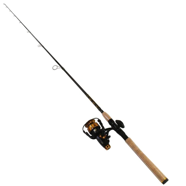 Penn Spinfisher VI Live Liner Combo