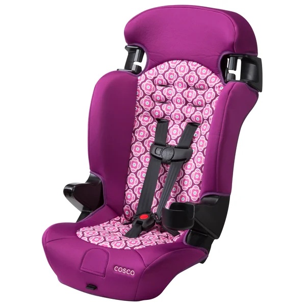 Cosco Finale 2-in-1 Booster Car Seat - Rosette
