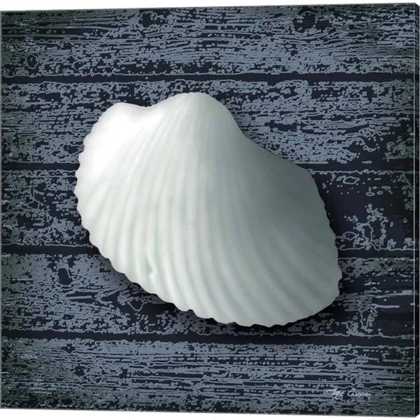 Great Art Now Seashore Shells Navy by Marie-Elaine Cusson 3 Piece Canvas Art Set Each 14W x 14H - Size: 14 x 14, White