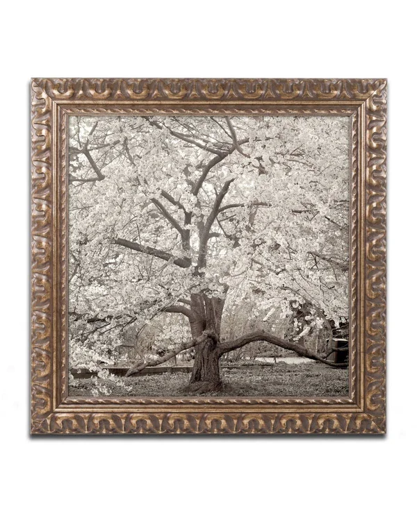 Trademark Fine Art 'Hampton Magnolia II' Canvas Art by Alan Blaustein - Gold Ornate Frame, Bronze