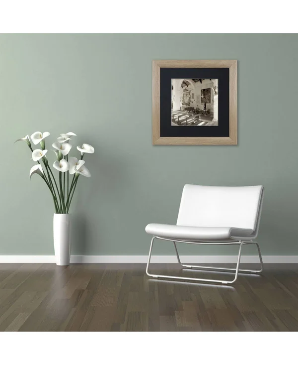 Trademark Art Alan Blaustein 'Banogregio I' Contemporary Matted Art