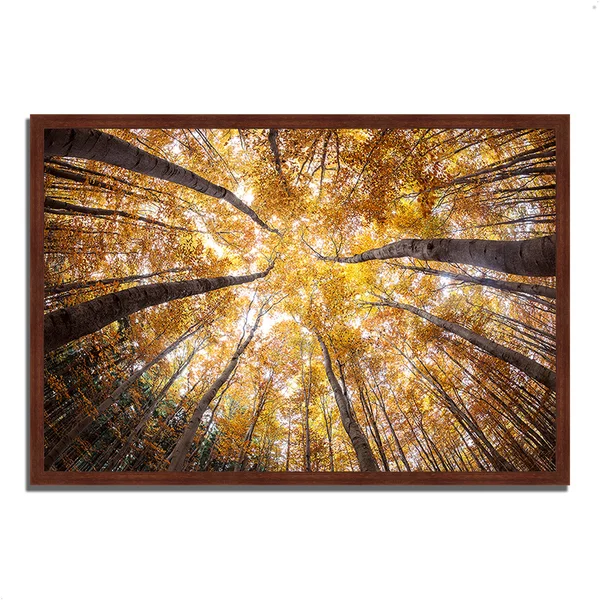 Tangletown Fine Art 'Reach for The Sky' Framed Photographic Print - Size: 41.5 inch H x 60.5 inch W x 1.5 inch D, Brown