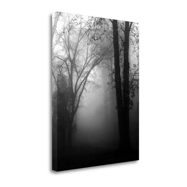Tangletown Fine Art 'November Fog' by Nicholas Bell Photographic Print on Wrapped Canvas