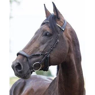 Horze Stewart Bridle