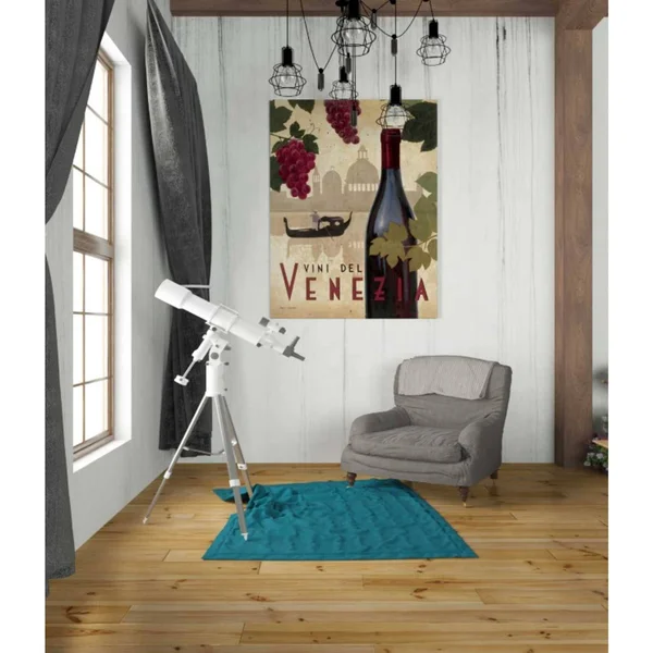 'Wine Festival II' by Marco Fabiano, Canvas Wall Art 26 x 34