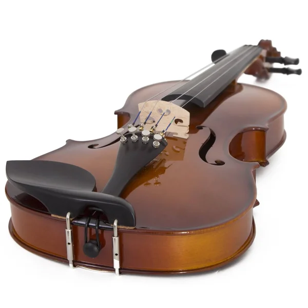 Cecilio CVN-300 Ebony Fitted Solid Wood Violin with D&Addario Prelude Strings - Size 1/2