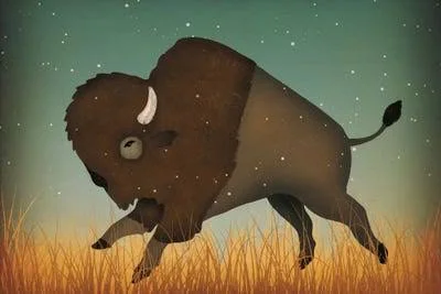 Framed Canvas Art (White Floating Frame) - American Bison (Buffalo) by Ryan Fowler ( Animal Art > Wildlife > Bison &