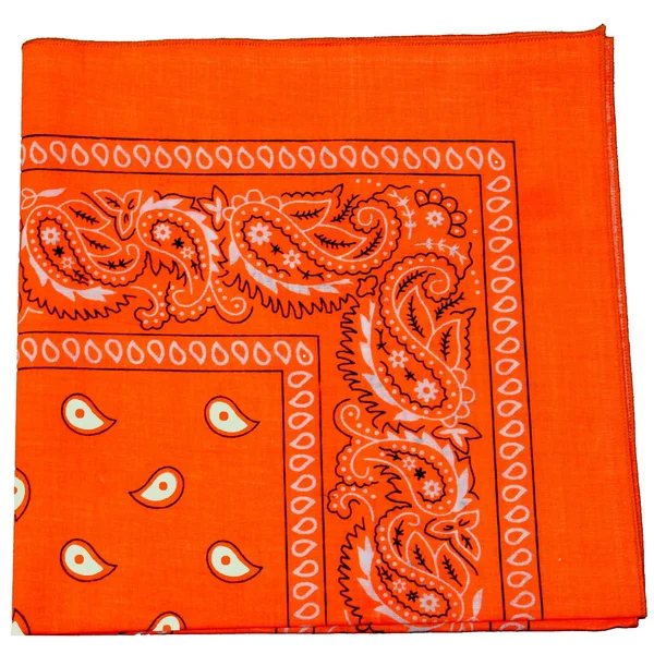 Mechaly Paisley 100% Cotton Double Sided Bandanas - 36 Pack