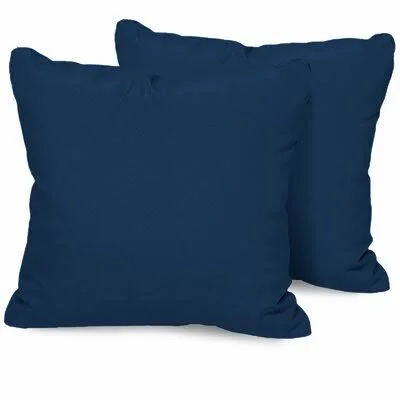 Jemaya Outdoor Square Pillow Insert Ebern Designs Color: Navy