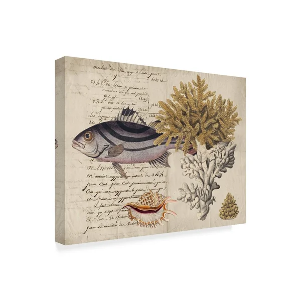 Trademark Fine Art 'Sea Life Journal III' Canvas Art by Vision Studio - Size: 35 x 47