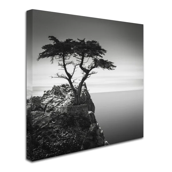 Trademark Global Dave MacVicar 'The Lone Cypress' Canvas Art