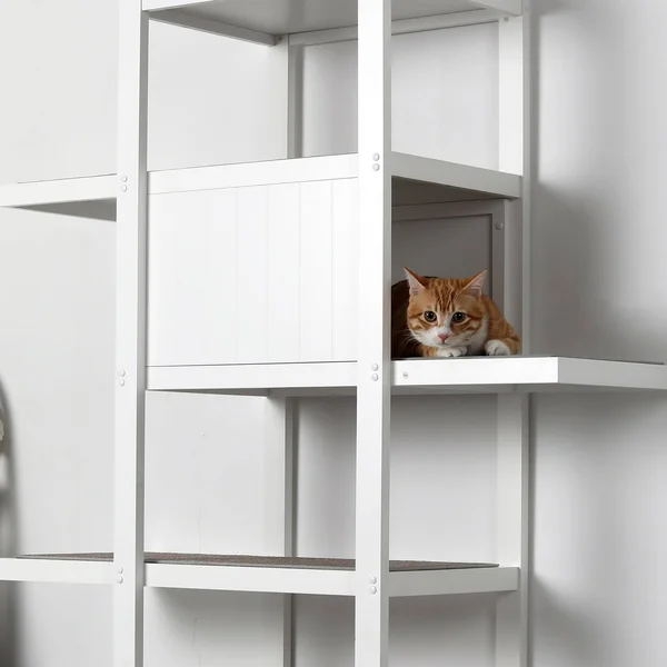 Zoovilla Toy0151720110 Bookshelf Cat Tree