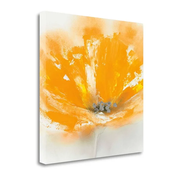 25x22 x 25x22 Wild Orange Sherbet I by J.P. Prior Fine Art Giclee Print