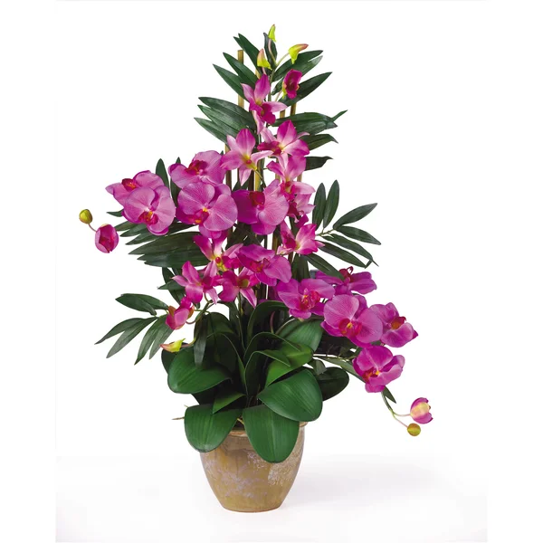 Nearly Natural Double Phal/Dendrobium Silk Flower Arrangement