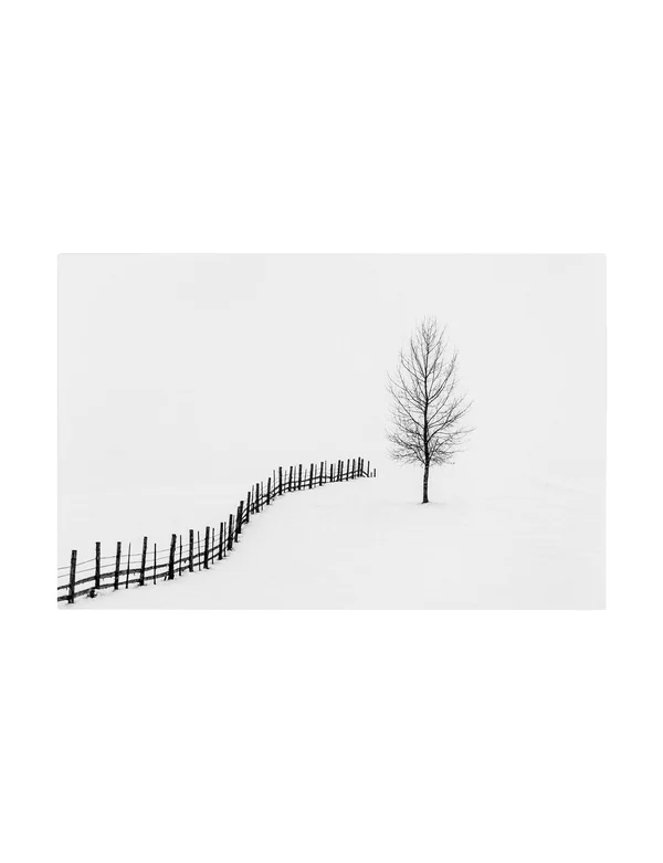 Trademark Fine Art 's I L E N C E' Canvas Art by Sveduneac Dorin Lucian, Size: 12 x 19