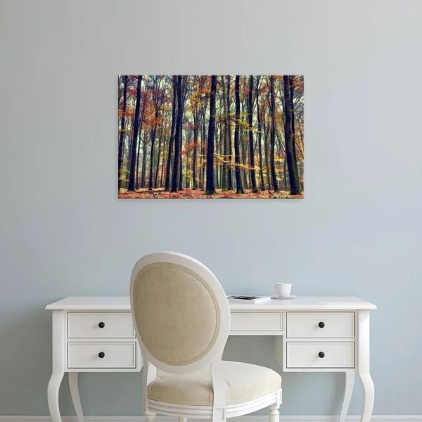 Easy Art Prints Lars Van De Goor's 'Nature's Palette' Premium Canvas Art - 24 x 36 - Brazilian Barnwood Frame