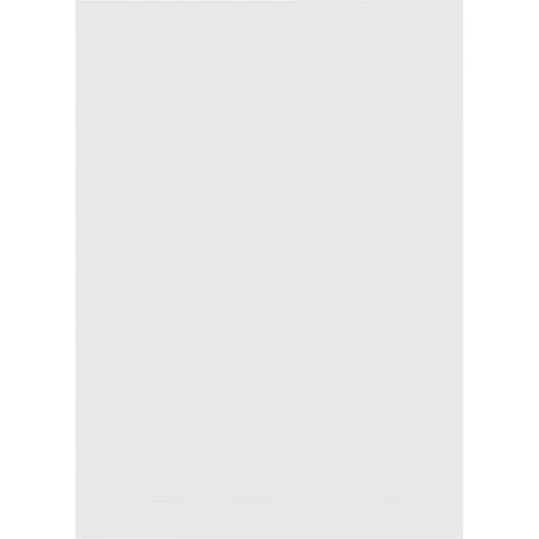 Ekena Millwork GVPVE12X2202SN 12x22W x 22x22H Vertical Surface Mount PVC Gable Vent: Non-Functional, w/ 2x22W x 1-1/2x22H Brickm