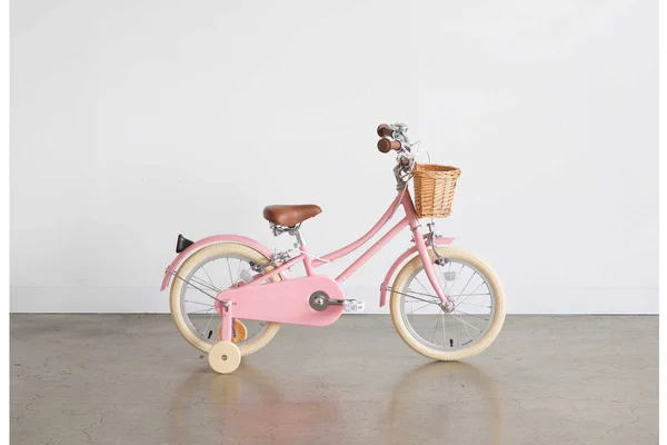 Gingersnap 16x22 Wheel - Junior Bikes - Bobbin Bikes for Adults & Children - Duck Egg, 16x22 Wheel