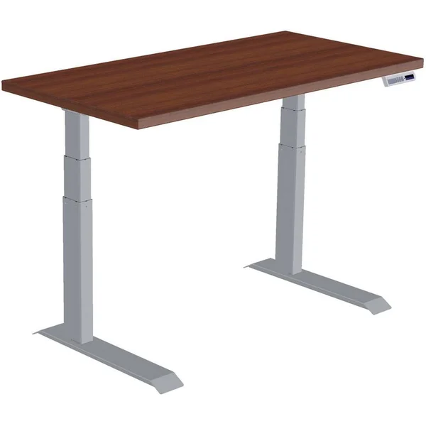 Workrite Fundamentals EX Electric Rectangular Standing Desk