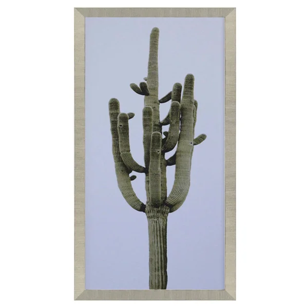 Saguaro II, Paragon 4150