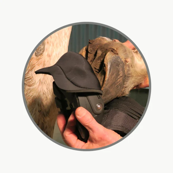 Easyboot Back Country Hoof Boot